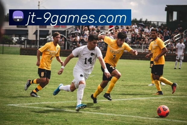 多媒体互动体验